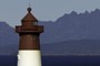 The Lighthouse tower