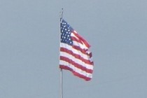273846-210x140