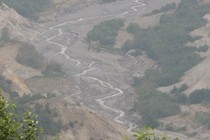 273670-210x140