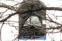 Bell in tower of Memorial Church.
