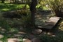 Small Pond