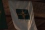 Flag of DF