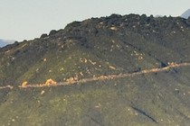 252707-210x140