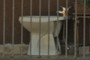 BIDET IN COMUNE