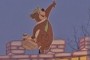 Yogi