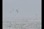 Sail Surfers