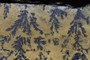 Lots of dendrites nucleate on the edge