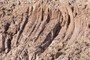 Curved columns