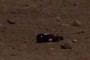 beer bottle