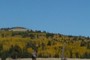 FALL COLOR