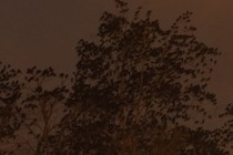 253645-210x140
