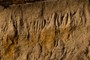 Soil Horizons