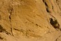 Cross-Bedded Sands