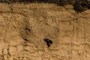 Disturbed sediment