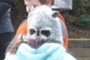 raccoon