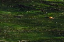 254047-210x140