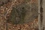 Rock outcrop