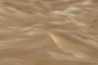Water 2