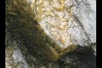 26483-210x140