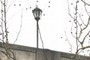 Street Light
