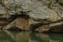 Rocks