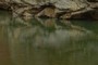 Reflection