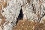Cave entrance