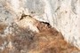 Cave entrance2
