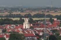 255194-210x140