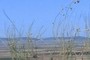 Sierra de Villacañas