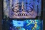 Native art fishtank