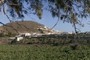 Montaña de Cardones