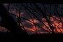 Beautiful Sunset