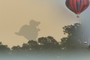 Dinosaur balloon