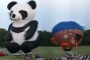 Panda and Pirate