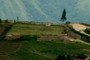 cemetary
