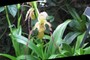 test snapshot
