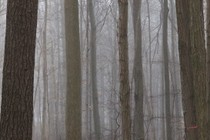 256908-210x140