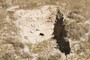 Excavaciones arqueológicas en el cerro del Bú