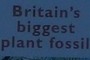 Proud boast