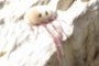 Mr. E. coli