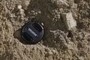 Lens cap for scale