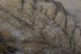 Granite