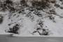 Beaver lodge