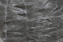 259199-210x140