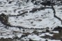 Corral