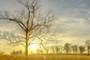 FramedSunrise