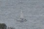 Out for a sail