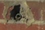 Pipe stub