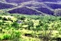 San Cayetano Peak